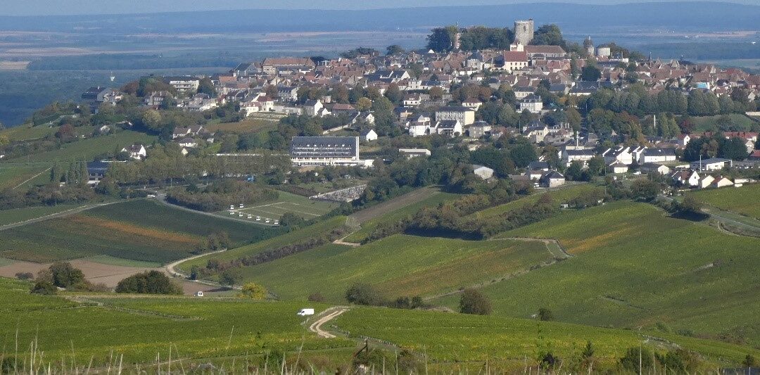 De mineralske hvidvine fra Sancerre