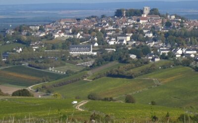 De mineralske hvidvine fra Sancerre